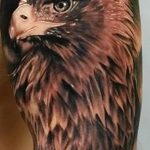 photo Golden Eagle tattoo 12.07.2019 №048 - example of drawing tattoo eagle - tattoovalue.net