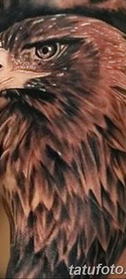 photo Golden Eagle tattoo 12.07.2019 №048 – example of drawing tattoo eagle – tattoovalue.net