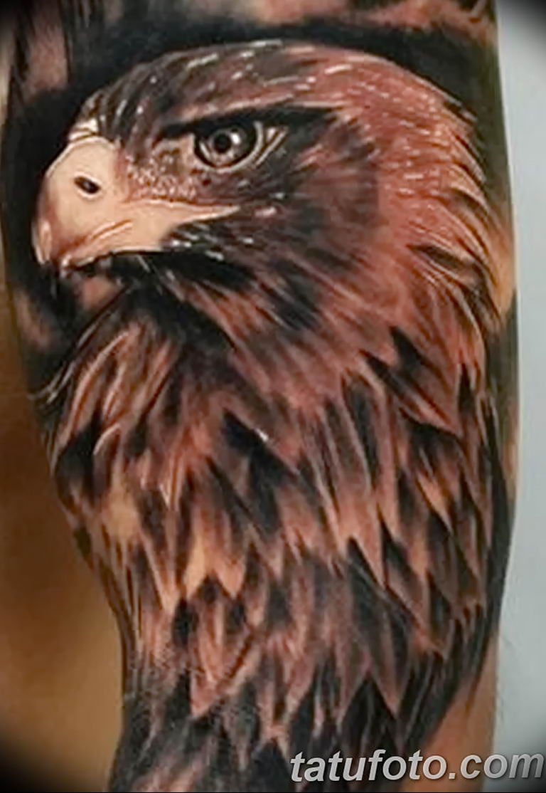photo Golden Eagle tattoo 12.07.2019 №048 - example of drawing tattoo eagle - tattoovalue.net