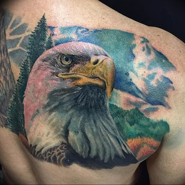 photo Golden Eagle tattoo 12.07.2019 №054 - example of drawing tattoo eagle - tattoovalue.net