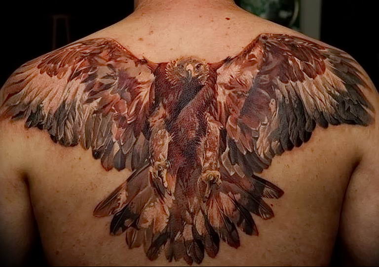 photo Golden Eagle tattoo 12.07.2019 №055 - example of drawing tattoo eagle - tattoovalue.net
