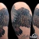 photo Golden Eagle tattoo 12.07.2019 №056 - example of drawing tattoo eagle - tattoovalue.net
