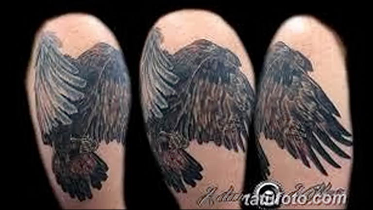photo Golden Eagle tattoo 12.07.2019 №056 - example of drawing tattoo eagle - tattoovalue.net