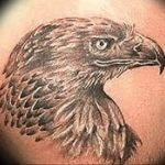 photo Golden Eagle tattoo 12.07.2019 №058 - example of drawing tattoo eagle - tattoovalue.net