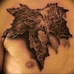 photo Golden Eagle tattoo 12.07.2019 №059 - example of drawing tattoo eagle - tattoovalue.net
