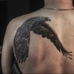 photo Golden Eagle tattoo 12.07.2019 №060 - example of drawing tattoo eagle - tattoovalue.net