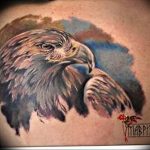 photo Golden Eagle tattoo 12.07.2019 №061 - example of drawing tattoo eagle - tattoovalue.net