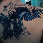 photo Golden Eagle tattoo 12.07.2019 №063 - example of drawing tattoo eagle - tattoovalue.net