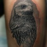 photo Golden Eagle tattoo 12.07.2019 №070 - example of drawing tattoo eagle - tattoovalue.net