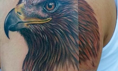 photo Golden Eagle tattoo 12.07.2019 №078 - example of drawing tattoo eagle - tattoovalue.net