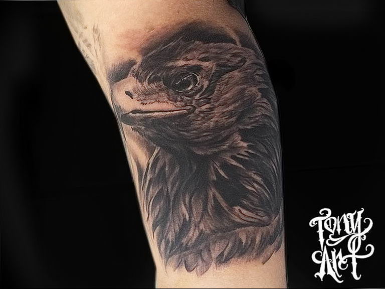 photo Golden Eagle tattoo 12.07.2019 №079 - example of drawing tattoo eagle - tattoovalue.net