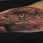 photo Golden Eagle tattoo 12.07.2019 №082 - example of drawing tattoo eagle - tattoovalue.net