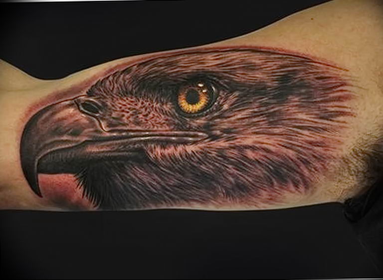 photo Golden Eagle tattoo 12.07.2019 №082 - example of drawing tattoo eagle - tattoovalue.net