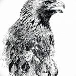 photo Golden Eagle tattoo 12.07.2019 №085 - example of drawing tattoo eagle - tattoovalue.net
