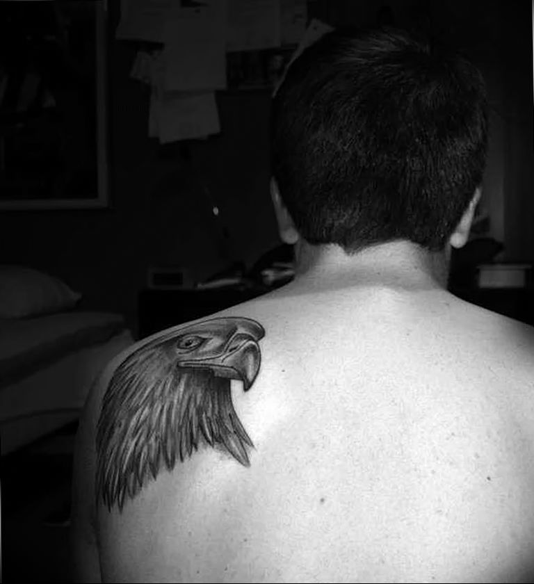 photo Golden Eagle tattoo 12.07.2019 №088 - example of drawing tattoo eagle - tattoovalue.net