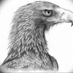photo Golden Eagle tattoo 12.07.2019 №093 - example of drawing tattoo eagle - tattoovalue.net