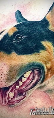 Photo bull terrier tattoo 11.08.2019 №004 – bull terrier tattoo example – tattoovalue.net