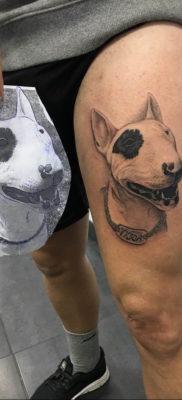 Photo bull terrier tattoo 11.08.2019 №009 – bull terrier tattoo example – tattoovalue.net