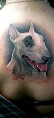 Photo bull terrier tattoo 11.08.2019 №010 – bull terrier tattoo example – tattoovalue.net