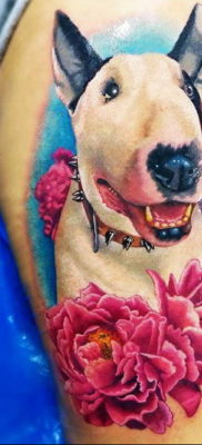 Photo bull terrier tattoo 11.08.2019 №026 – bull terrier tattoo example – tattoovalue.net
