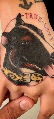 Photo bull terrier tattoo 11.08.2019 №114 – bull terrier tattoo example – tattoovalue.net