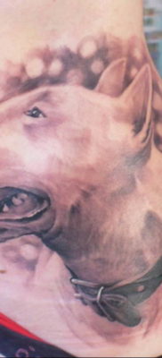 Foto Bullterrier Tattoo 11.08.2019 №116 – bull terrier tattoo example – tattoovalue.net
