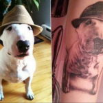 Photo bull terrier tattoo 11.08.2019 №020 - bull terrier tattoo example - tattoovalue.net