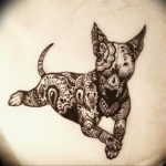 Photo bull terrier tattoo 11.08.2019 №022 - bull terrier tattoo example - tattoovalue.net