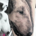 Photo bull terrier tattoo 11.08.2019 №032 - bull terrier tattoo example - tattoovalue.net