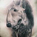 Photo bull terrier tattoo 11.08.2019 №037 - bull terrier tattoo example - tattoovalue.net