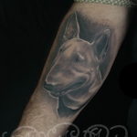 Photo bull terrier tattoo 11.08.2019 №042 - bull terrier tattoo example - tattoovalue.net