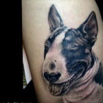 Photo bull terrier tattoo 11.08.2019 №053 - bull terrier tattoo example - tattoovalue.net