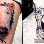 Photo bull terrier tattoo 11.08.2019 №058 - bull terrier tattoo example - tattoovalue.net