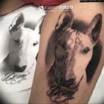 Photo bull terrier tattoo 11.08.2019 №069 - bull terrier tattoo example - tattoovalue.net