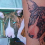 Photo bull terrier tattoo 11.08.2019 №074 - bull terrier tattoo example - tattoovalue.net