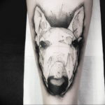 Photo bull terrier tattoo 11.08.2019 №075 - bull terrier tattoo example - tattoovalue.net