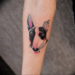 Photo bull terrier tattoo 11.08.2019 №133 - bull terrier tattoo example - tattoovalue.net