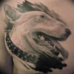Photo bull terrier tattoo example 11.08.2019 №026 - tattoo bull terrier example - tattoovalue.net