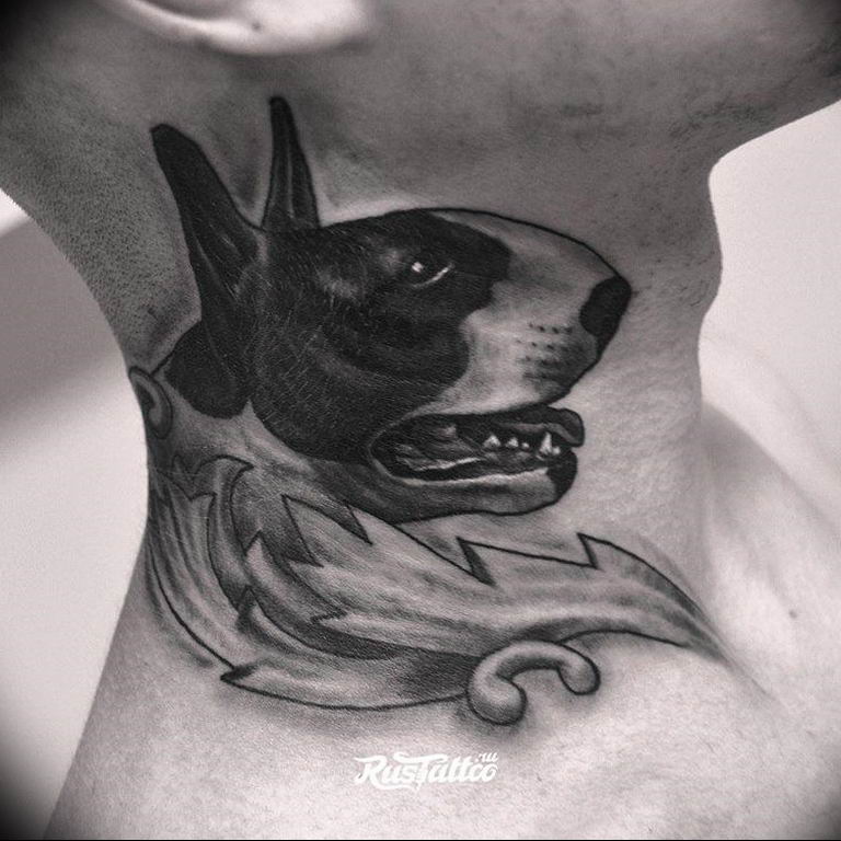 Photo bull terrier tattoo example 11.08.2019 №040 - tattoo bull terrier example - tattoovalue.net