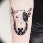 Photo bull terrier tattoo example 11.08.2019 №015 - tattoo bull terrier example - tattoovalue.net