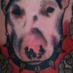Photo bull terrier tattoo example 11.08.2019 №028 - tattoo bull terrier example - tattoovalue.net