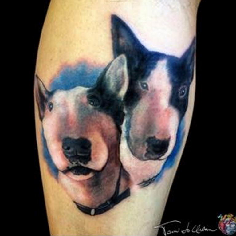 Photo calf bull terrier tattoo 11.08.2019 №003 - calf bull terrier tattoo example - tattoovalue.net