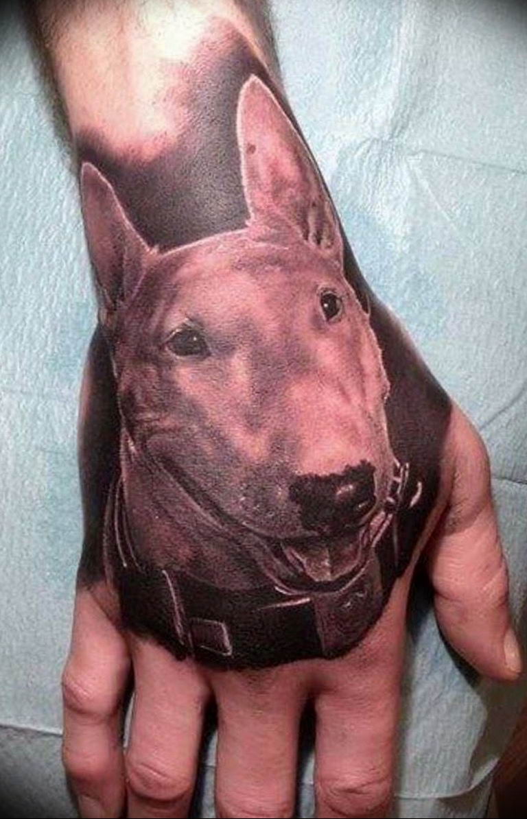 Photo tattoo bull terrier on hand 11.08.2019 №001 - tattoo bull terrier example - tattoovalue.net