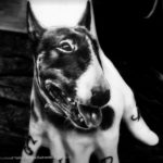 Photo tattoo bull terrier on hand 11.08.2019 №002 - tattoo bull terrier example - tattoovalue.net
