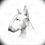 Photo tattoo bull terrier sketches 11.08.2019 №002 - tattoo bull terrier example - tattoovalue.net