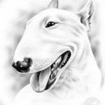 Photo tattoo bull terrier sketches 11.08.2019 №006 - tattoo bull terrier example - tattoovalue.net