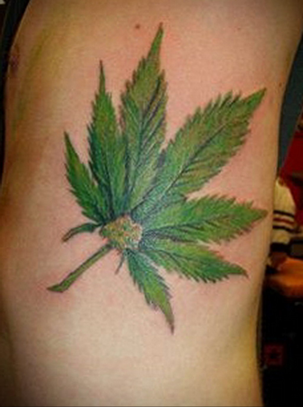 hemp leaf tattoo 30.09.2019 №013 -hemp (MARIJUANA) tattoo- tattoovalue.net