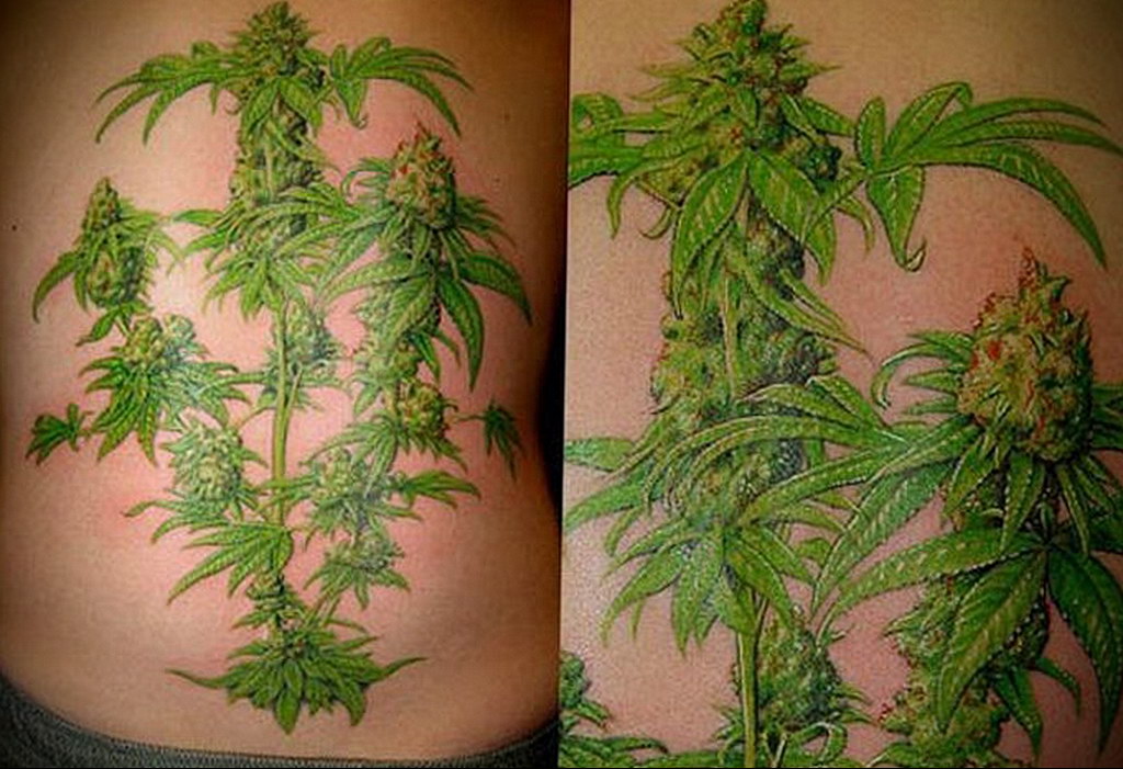 hemp leaf tattoo 30.09.2019 №014 -hemp (MARIJUANA) tattoo- tattoovalue.net