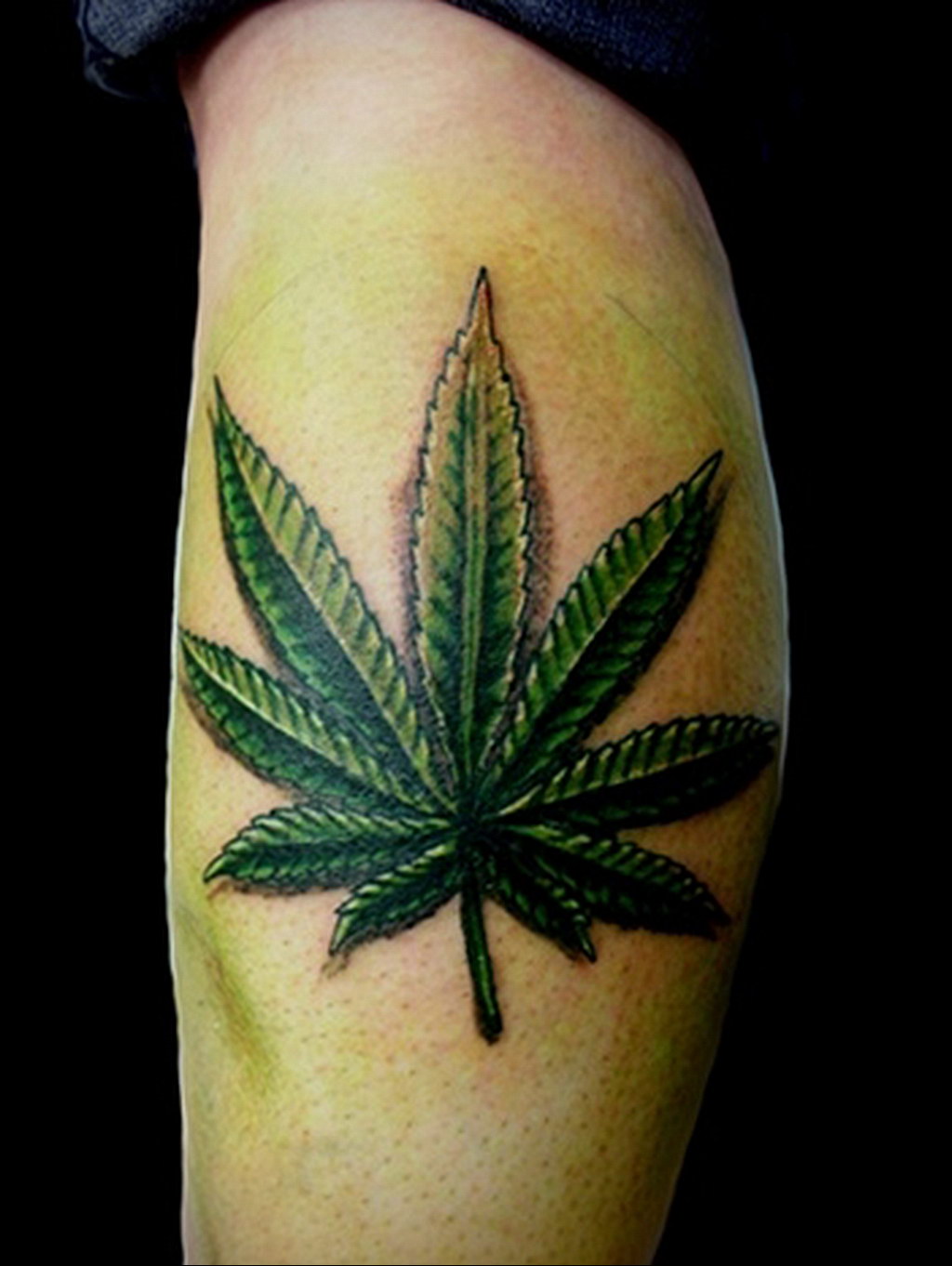 hemp leg tattoo 30.09.2019 №005 -hemp (MARIJUANA) tattoo- tattoovalue.net