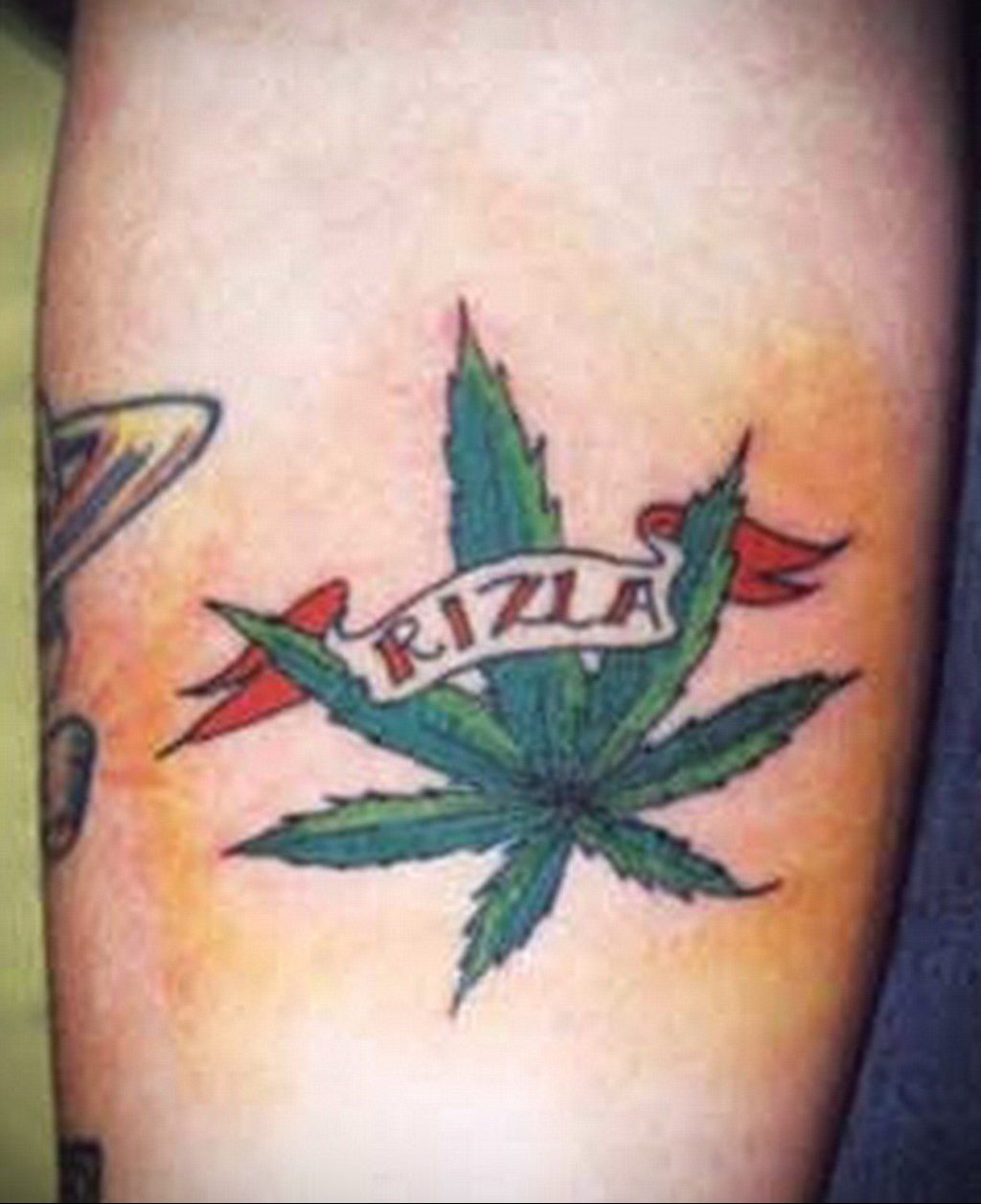 marijuana tattoo 30.09.2019 №012 -hemp (MARIJUANA) tattoo- tattoovalue.net